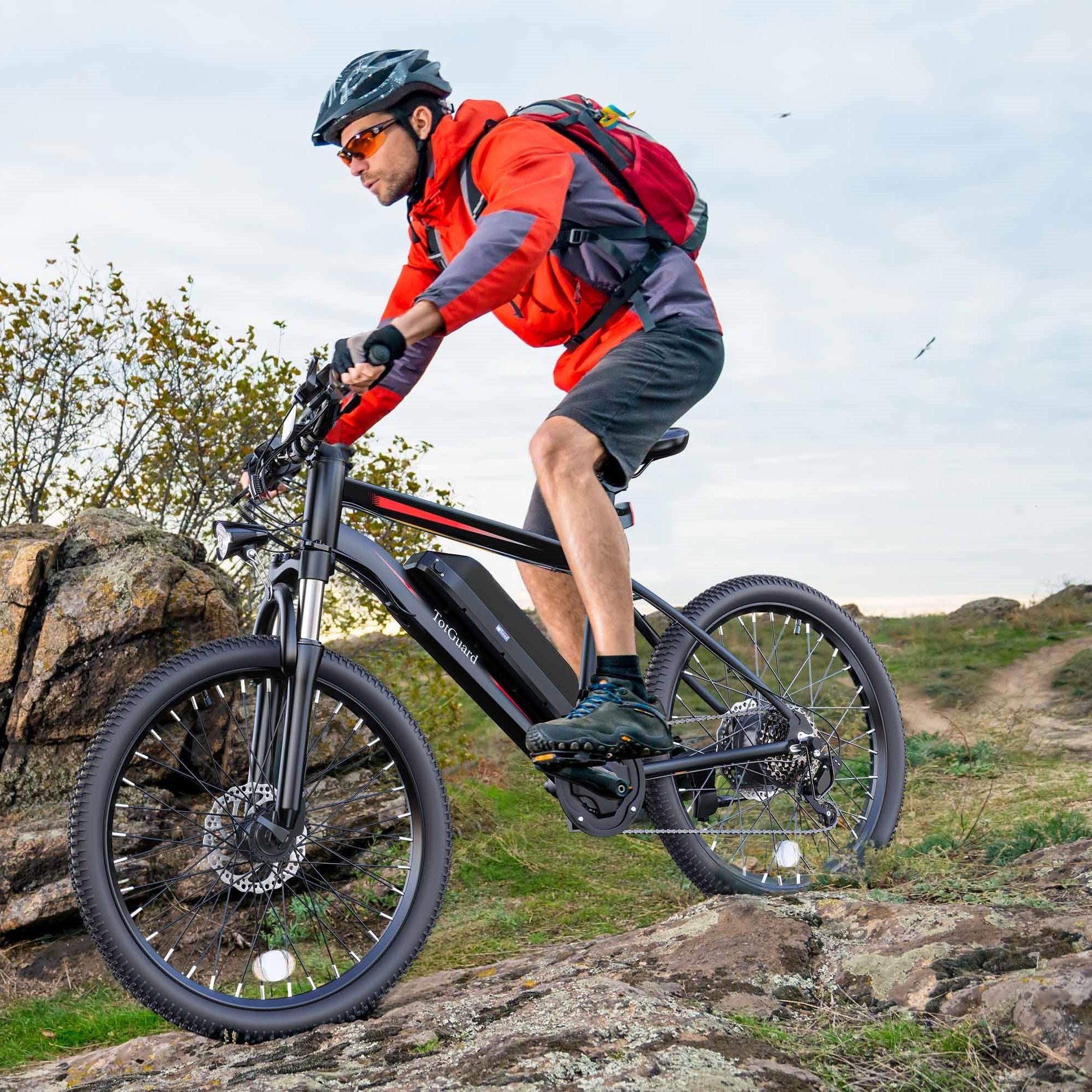 Mountain Electric Bikes