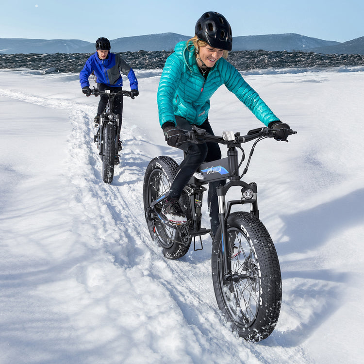 Snow Electric Bikes