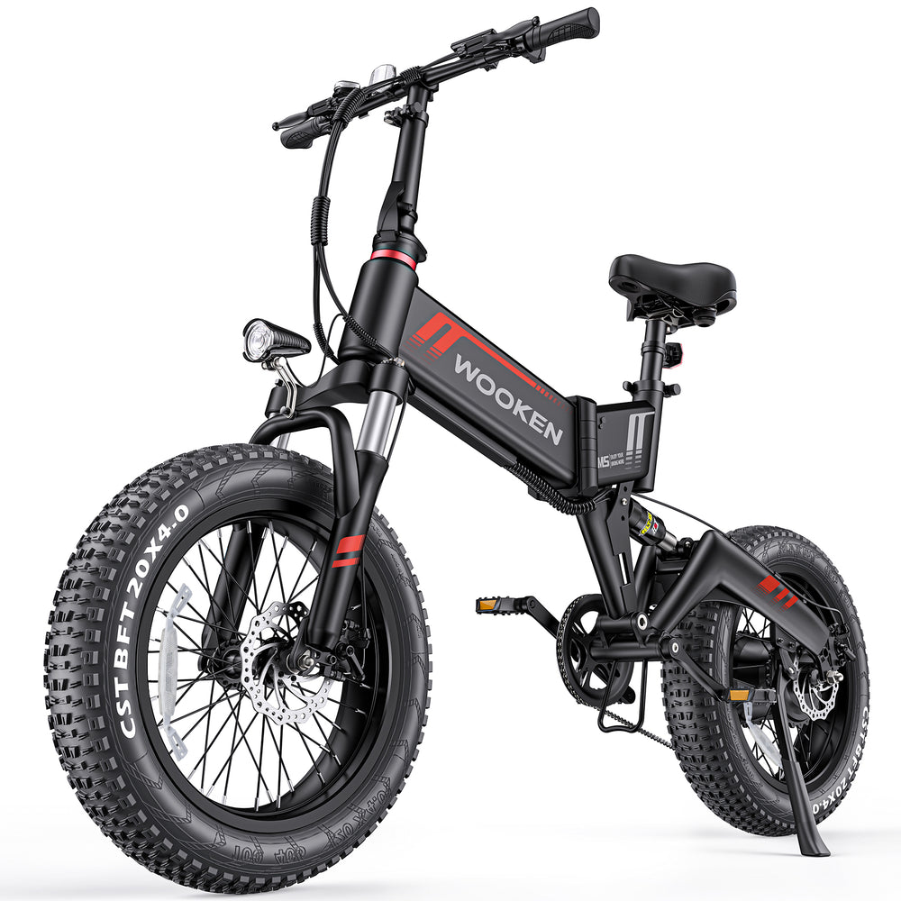 Wooken W-206 Full Suspension Folding Fat Tire Electric Bike Wooken