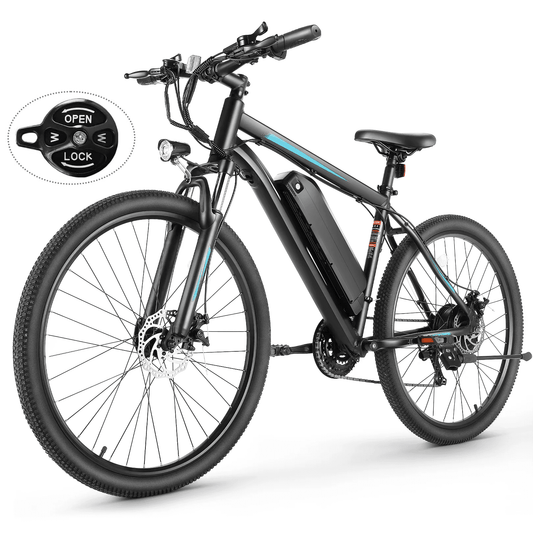 The Power of a 350W Electric Bike