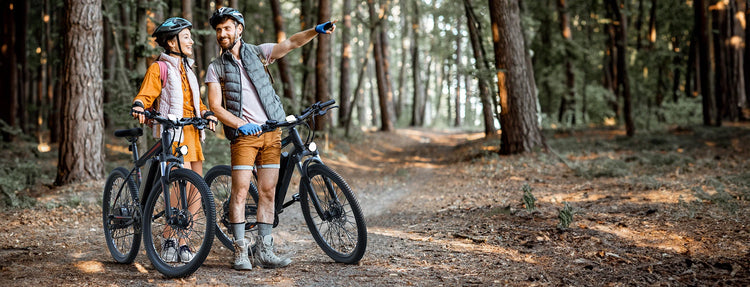 Wooken Electric Bikes Collections