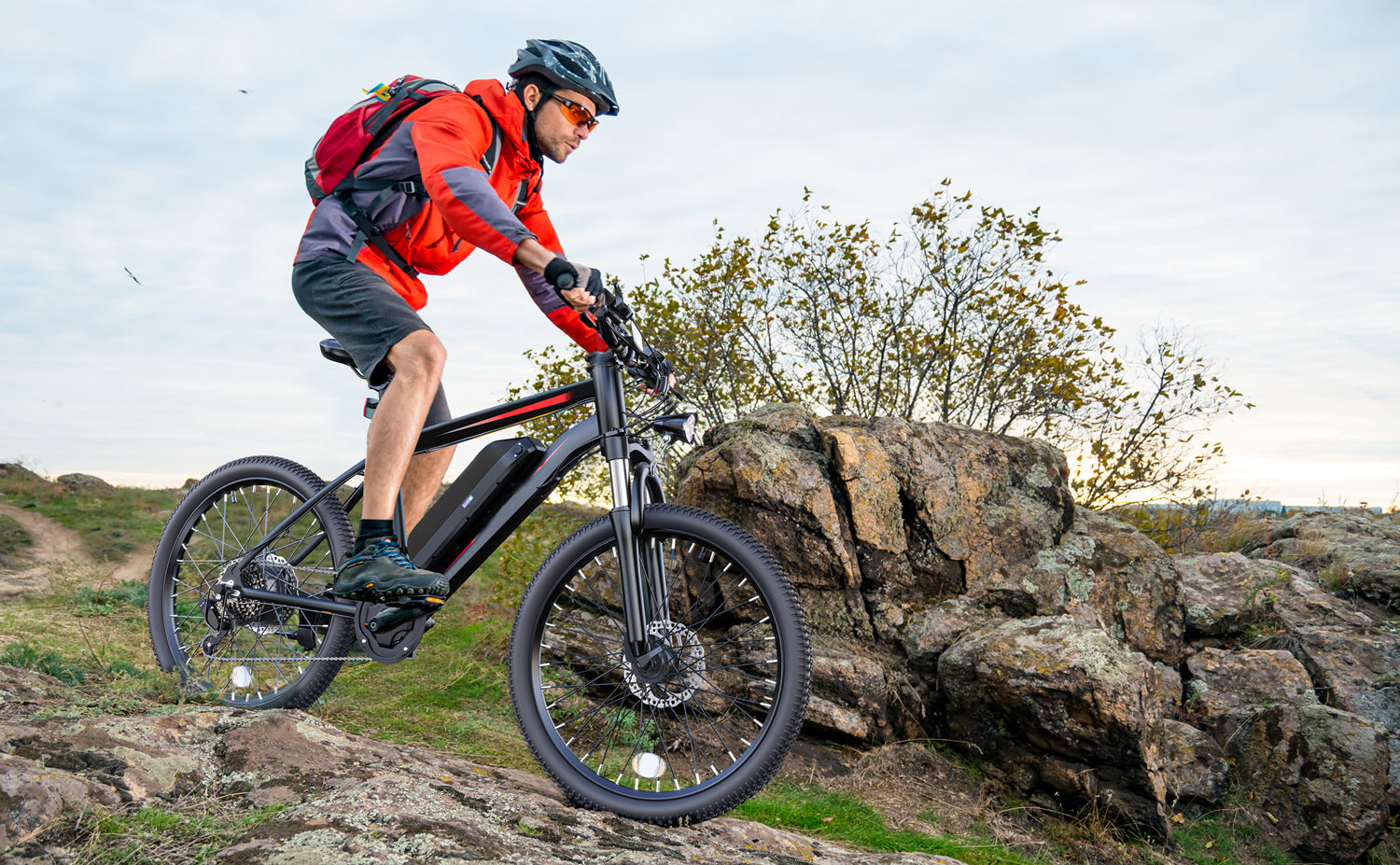 Mountain Electric Bikes