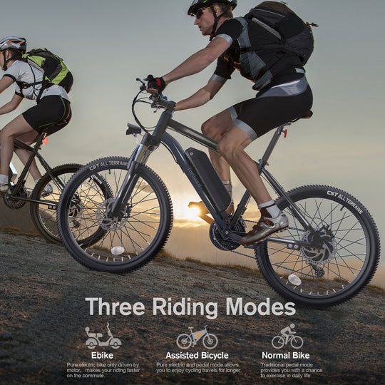 ?Wooken T-266 Adult Commuter Electric Mountain Bike Wooken