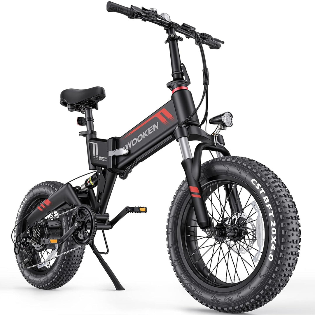 Wooken W-206 Full Suspension Folding Fat Tire Electric Bike Wooken