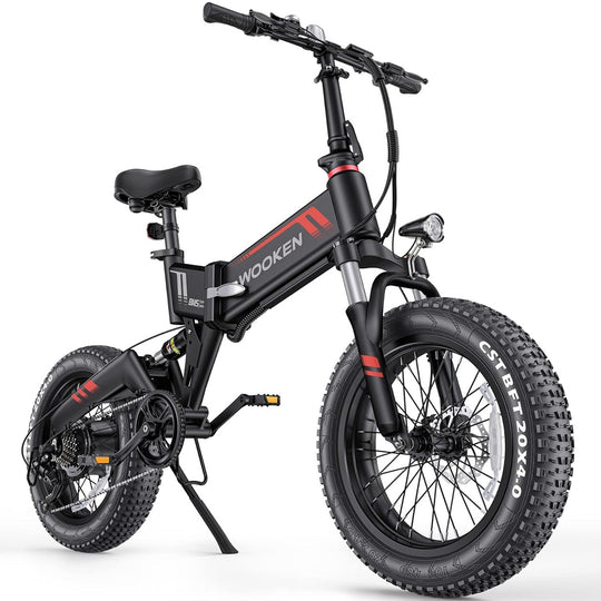 Wooken W-206 Full Suspension Folding Fat Tire Electric Bike Wooken