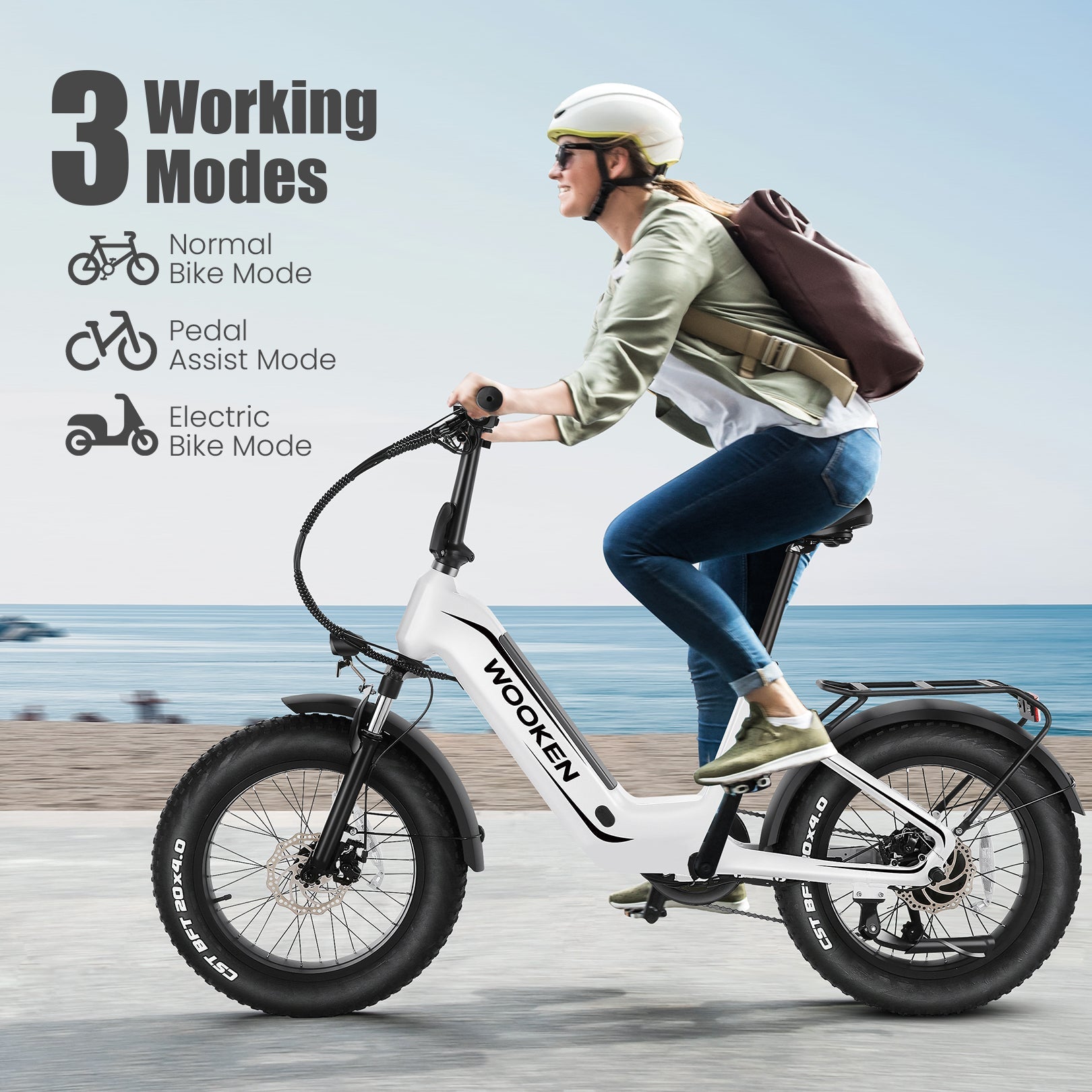 Wooken HMLWK11 All Terrain Fat Tire Mountain Electric Bike Wooken