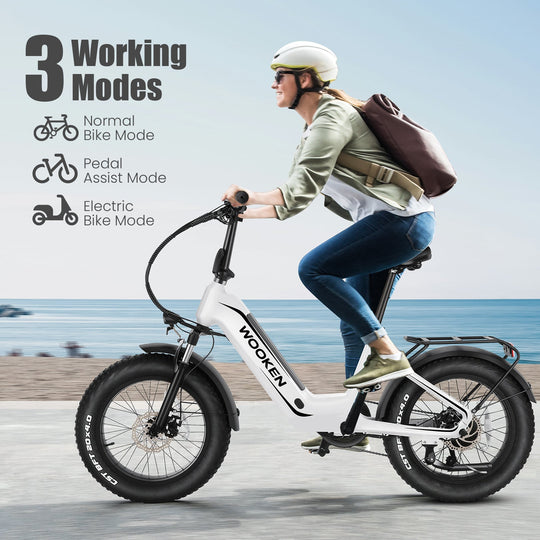 Wooken HMLWK11 All Terrain Fat Tire Mountain Electric Bike Wooken