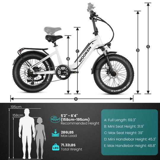 Wooken HMLWK11 All Terrain Fat Tire Mountain Electric Bike Wooken
