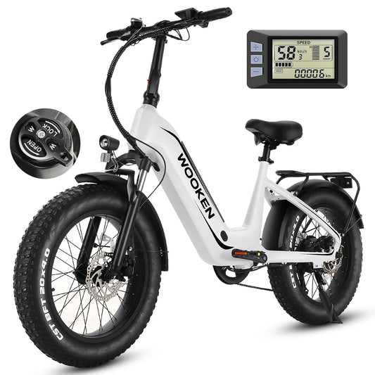 Wooken HMLWK11 All Terrain Fat Tire Mountain Electric Bike Wooken