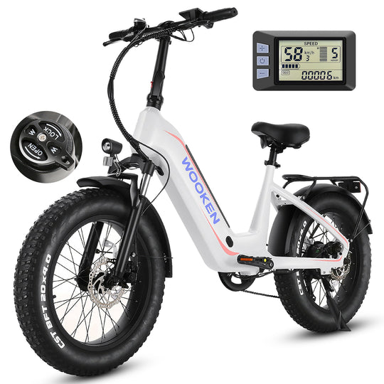Wooken HMLWK11 All Terrain Fat Tire Mountain Electric Bike Wooken