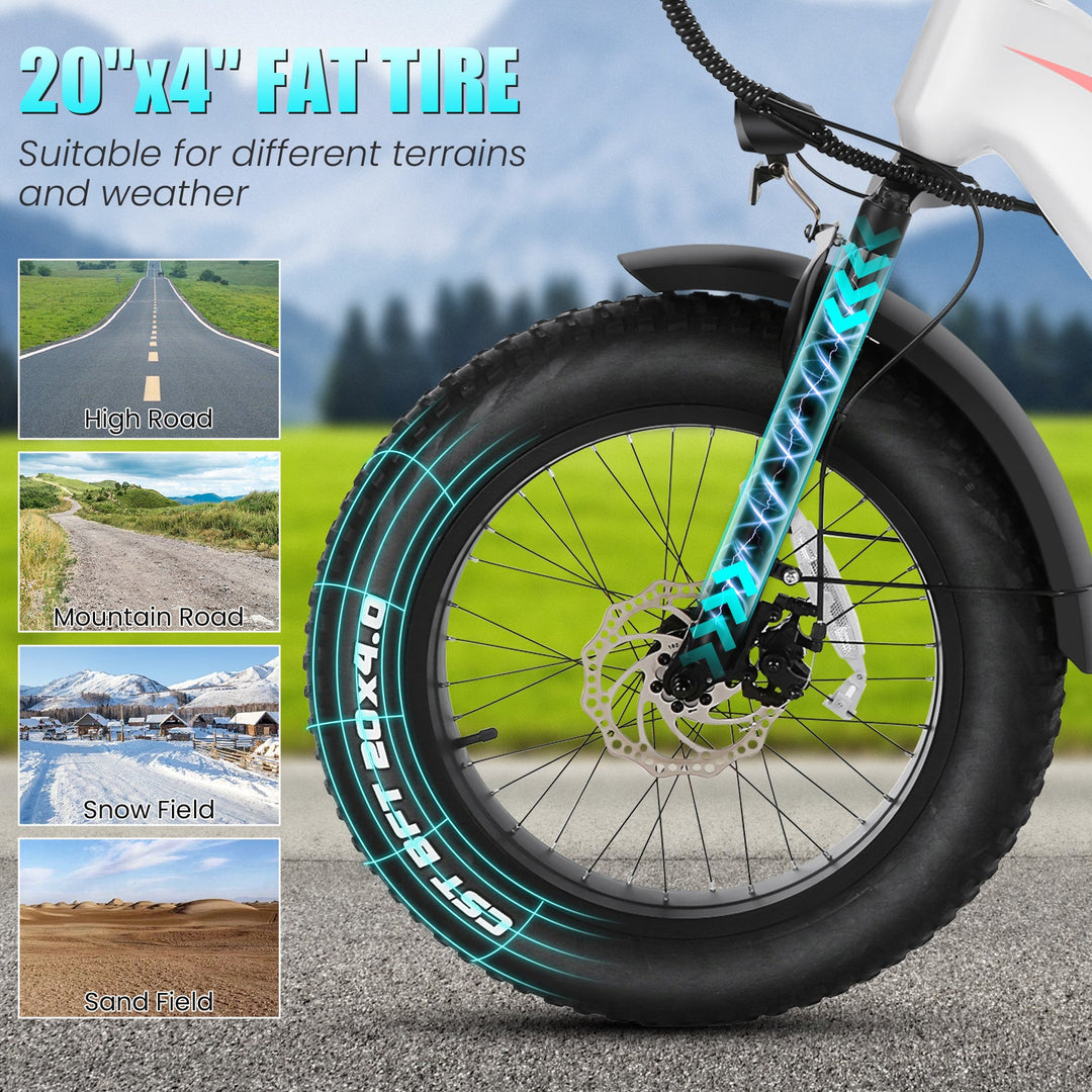 Wooken HMLWK11 All Terrain Fat Tire Mountain Electric Bike Wooken