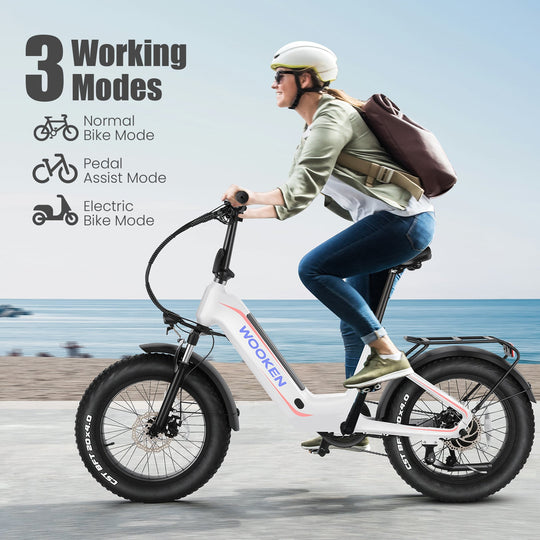 Wooken HMLWK11 All Terrain Fat Tire Mountain Electric Bike Wooken