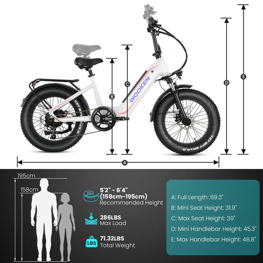 Wooken HMLWK11 All Terrain Fat Tire Mountain Electric Bike Wooken