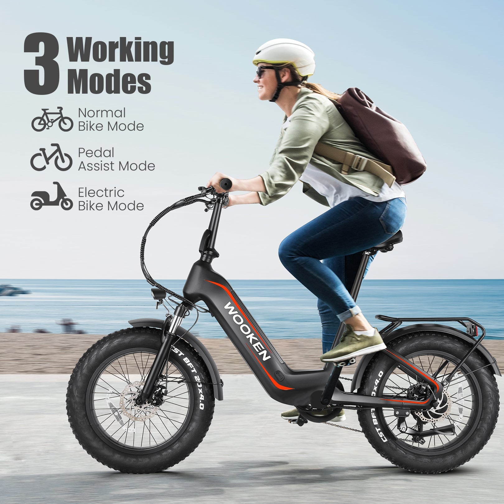 Wooken HMLWK11 All Terrain Fat Tire Mountain Electric Bike Wooken