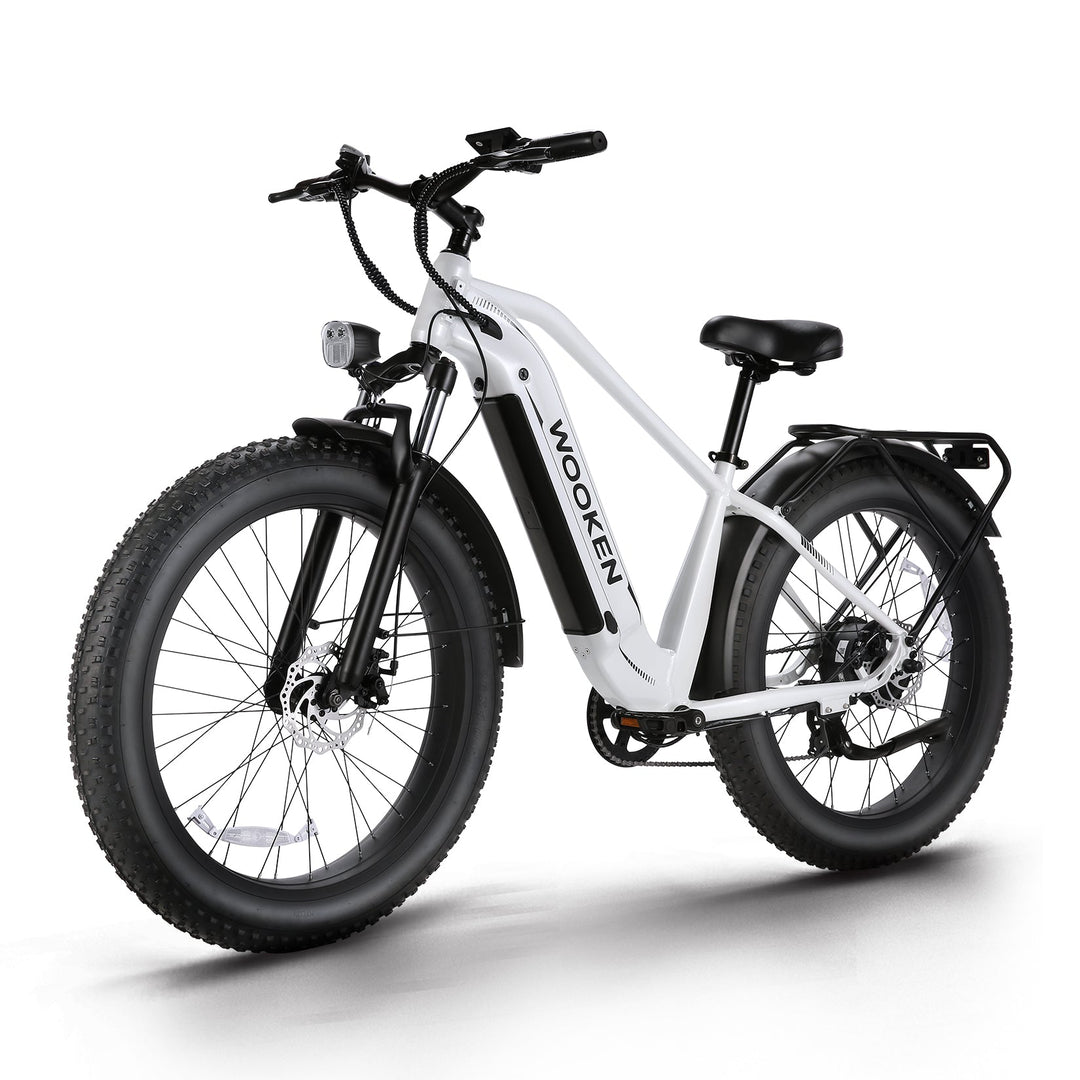 Wooken ‎GALE 26" x 4.0 Fat Tire All Terrain Electric Bike WOOKEN