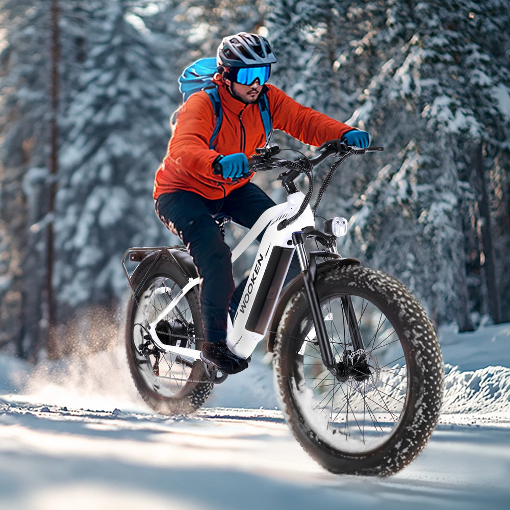 Wooken ‎GALE 26" x 4.0 Fat Tire All Terrain Electric Bike WOOKEN