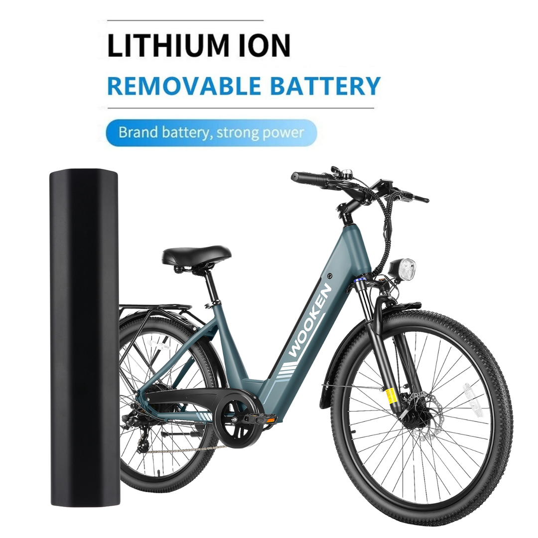 Wooken SwiftX Electric Bike Battery