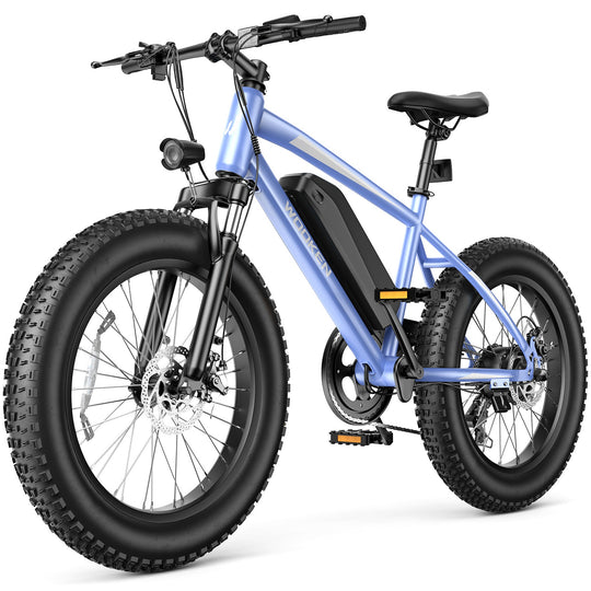 Wooken TAIWK11 All Terrain Fat Tire Electric Bike Wooken