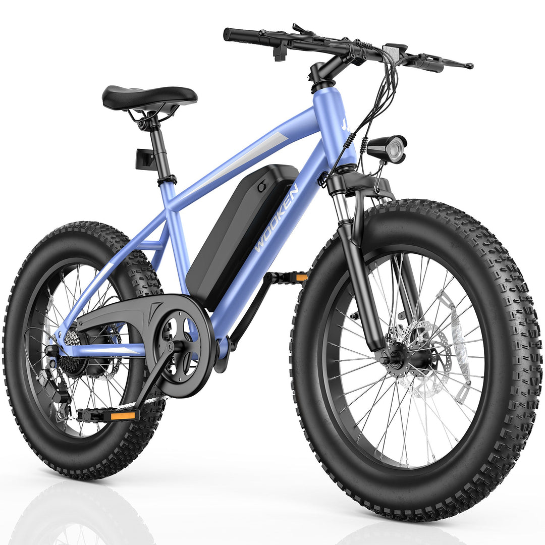 Wooken TAIWK11 All Terrain Fat Tire Electric Bike Wooken