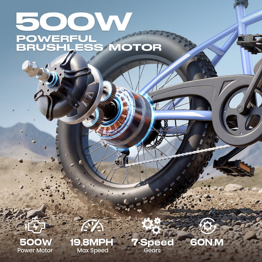 Wooken TAIWK11 All Terrain Fat Tire Electric Bike Wooken