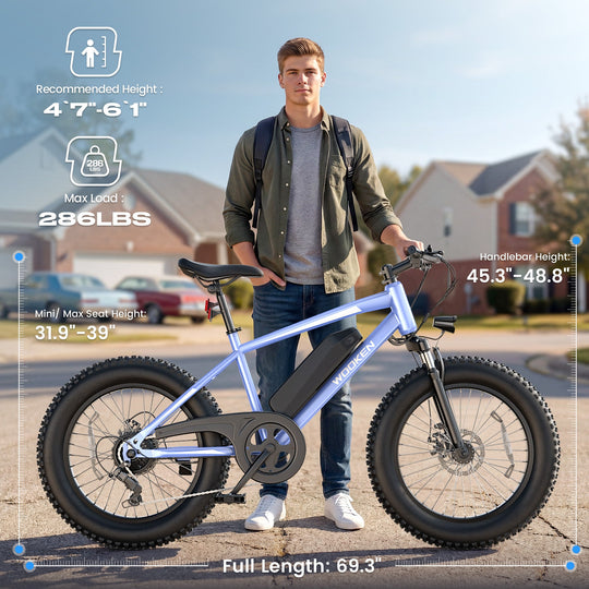 Wooken TAIWK11 All Terrain Fat Tire Electric Bike Wooken
