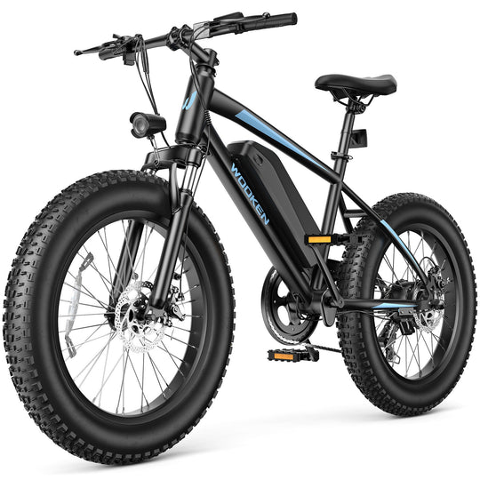 Wooken TAIWK11 All Terrain Fat Tire Electric Bike Wooken
