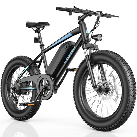 Wooken TAIWK11 All Terrain Fat Tire Electric Bike Wooken