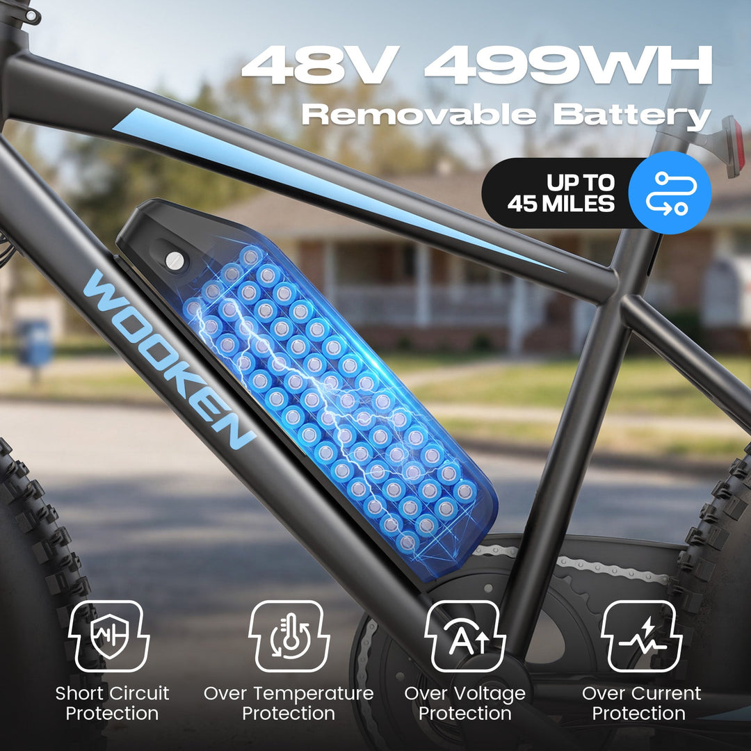 Wooken TAIWK11 All Terrain Fat Tire Electric Bike Wooken