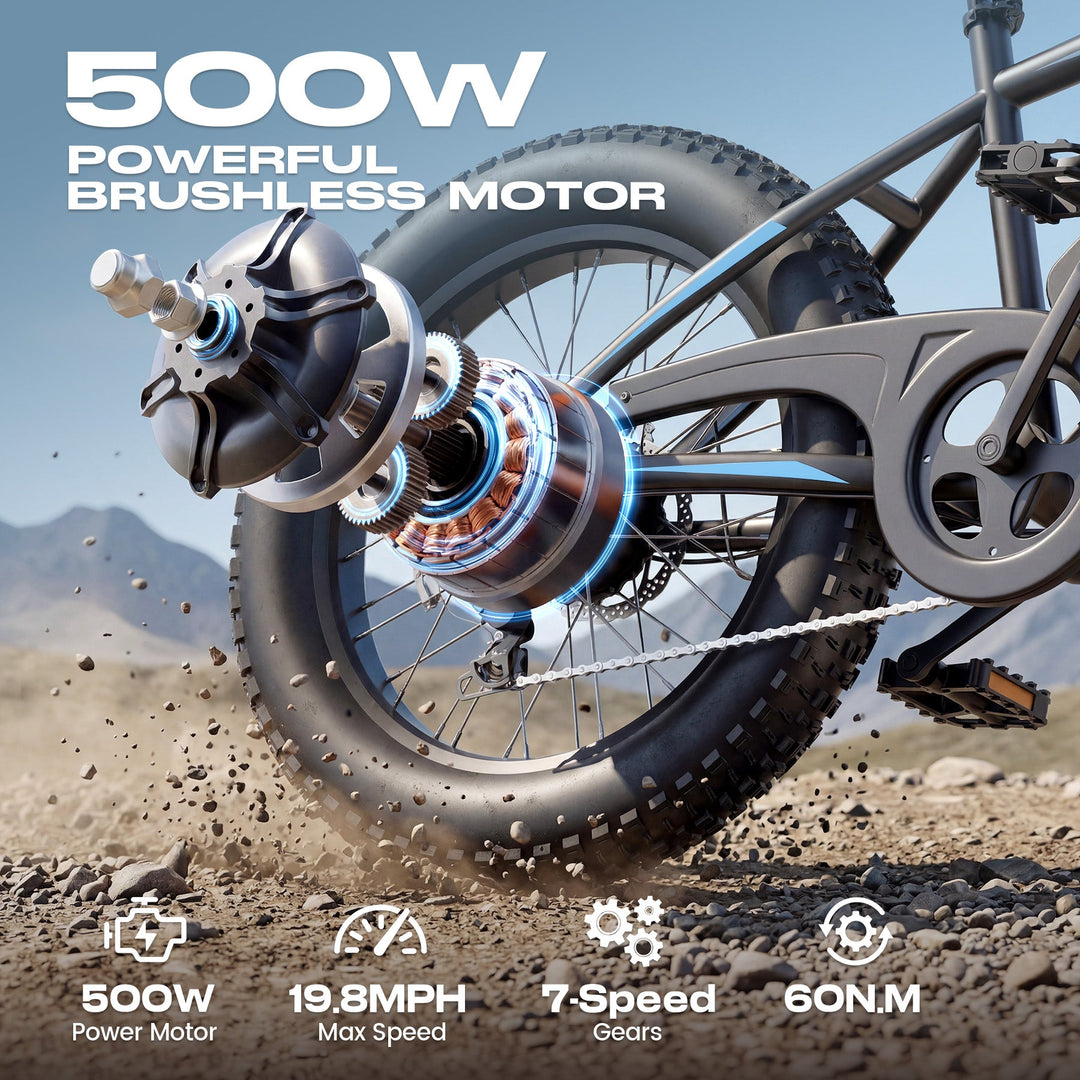 Wooken TAIWK11 All Terrain Fat Tire Electric Bike Wooken