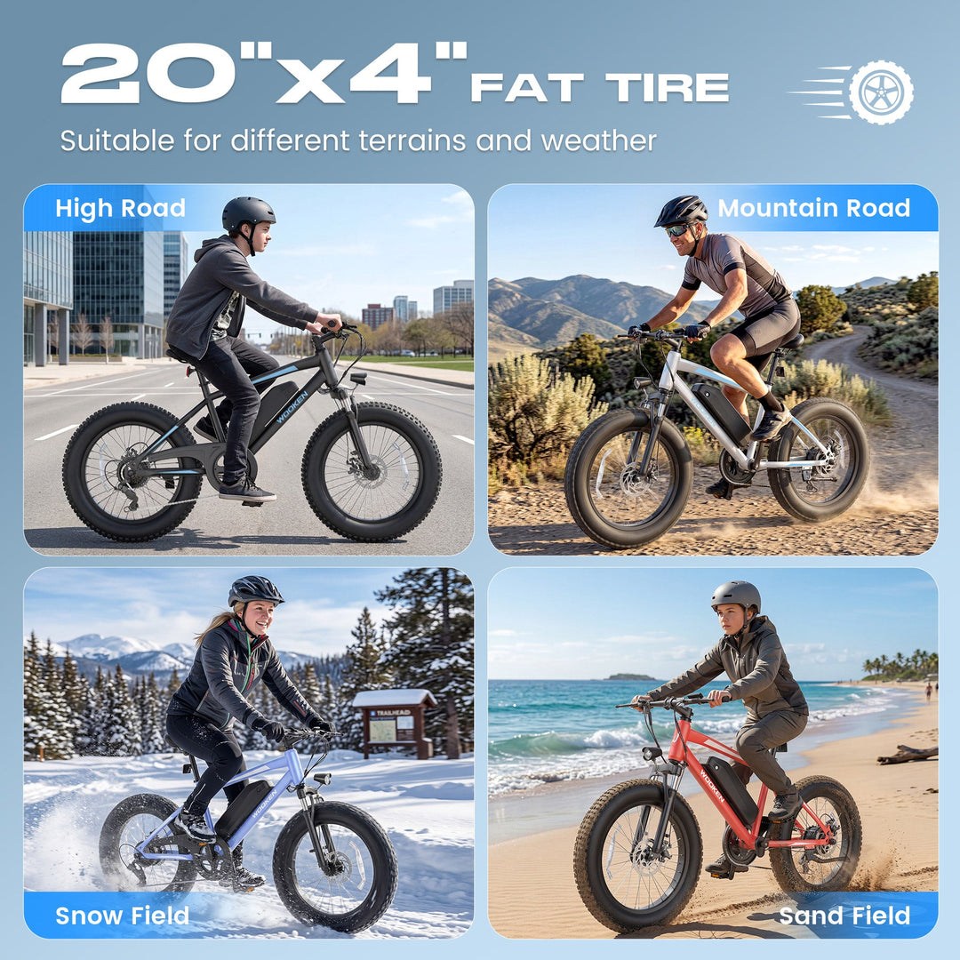 Wooken TAIWK11 All Terrain Fat Tire Electric Bike Wooken