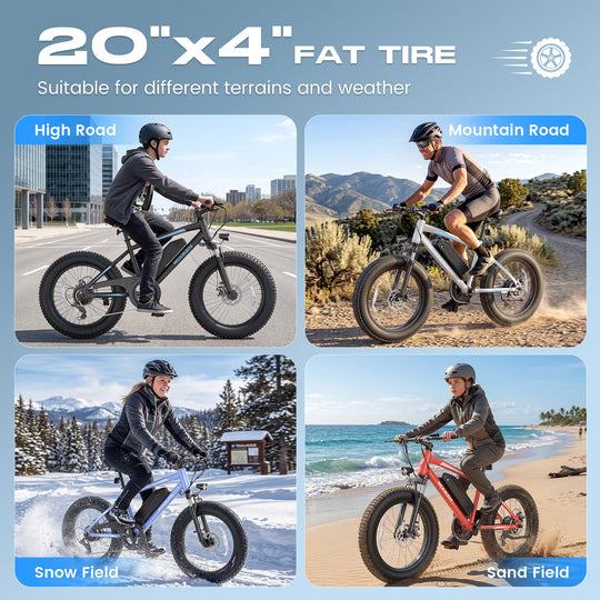 Wooken TAIWK11 All Terrain Fat Tire Electric Bike Wooken