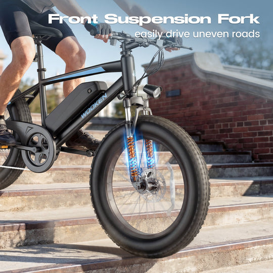 Wooken TAIWK11 All Terrain Fat Tire Electric Bike Wooken