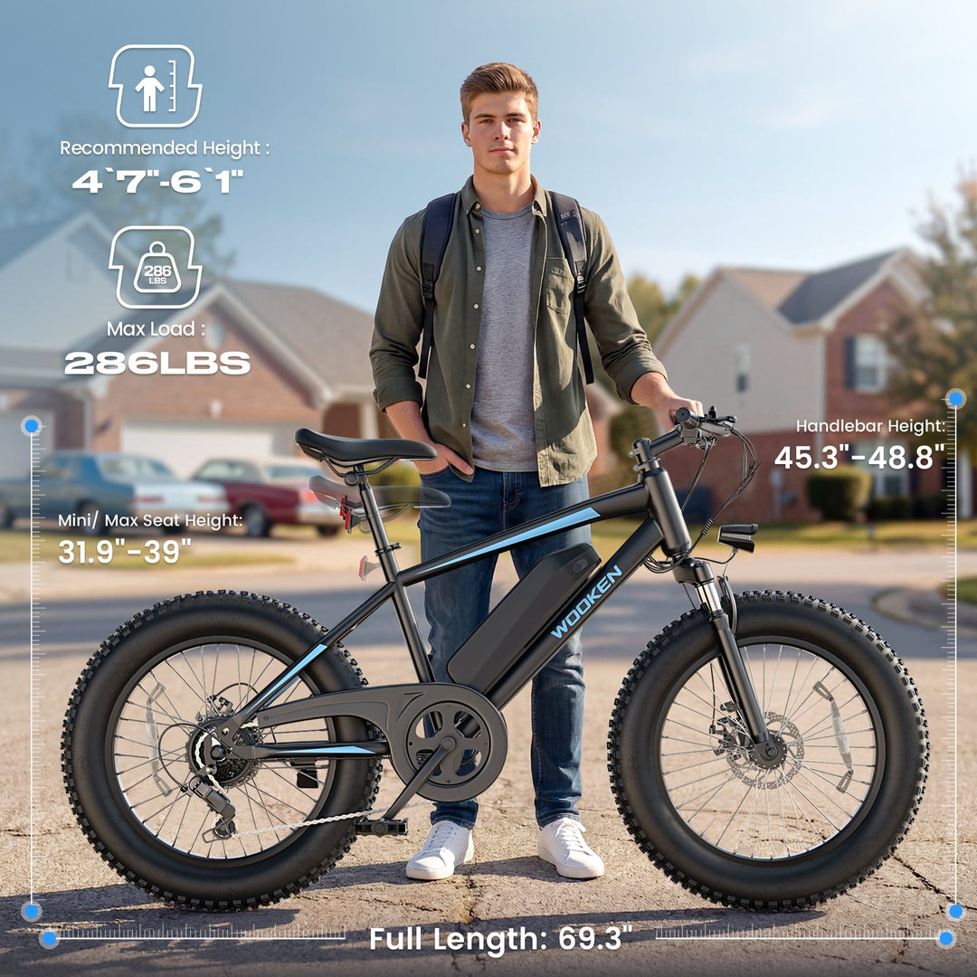 Wooken TAIWK11 All Terrain Fat Tire Electric Bike Wooken
