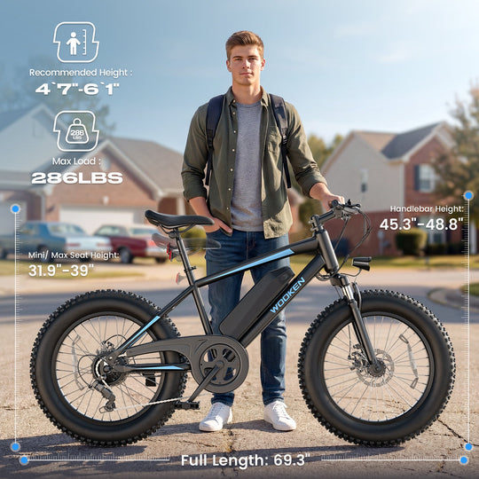 Wooken TAIWK11 All Terrain Fat Tire Electric Bike Wooken