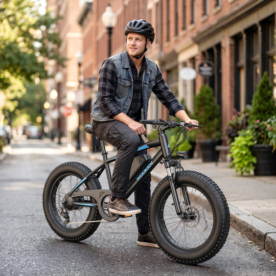 Wooken TAIWK11 All Terrain Fat Tire Electric Bike Wooken