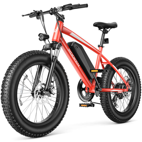 Wooken TAIWK11 All Terrain Fat Tire Electric Bike Wooken