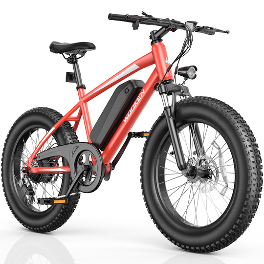Wooken TAIWK11 All Terrain Fat Tire Electric Bike Wooken