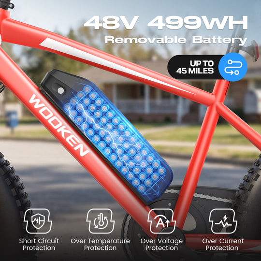 Wooken TAIWK11 All Terrain Fat Tire Electric Bike Wooken