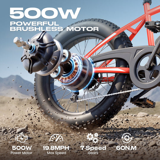 Wooken TAIWK11 All Terrain Fat Tire Electric Bike Wooken