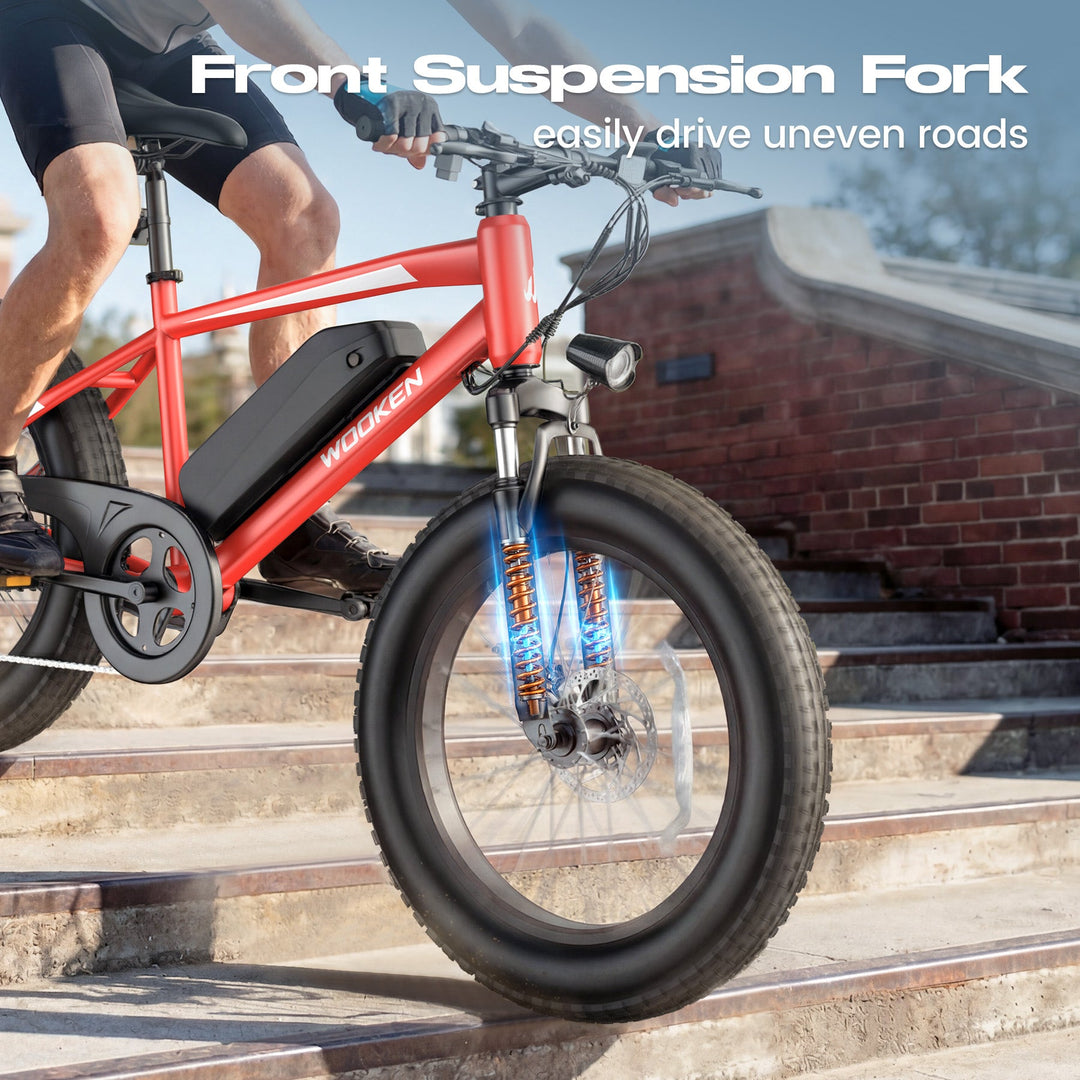 Wooken TAIWK11 All Terrain Fat Tire Electric Bike Wooken