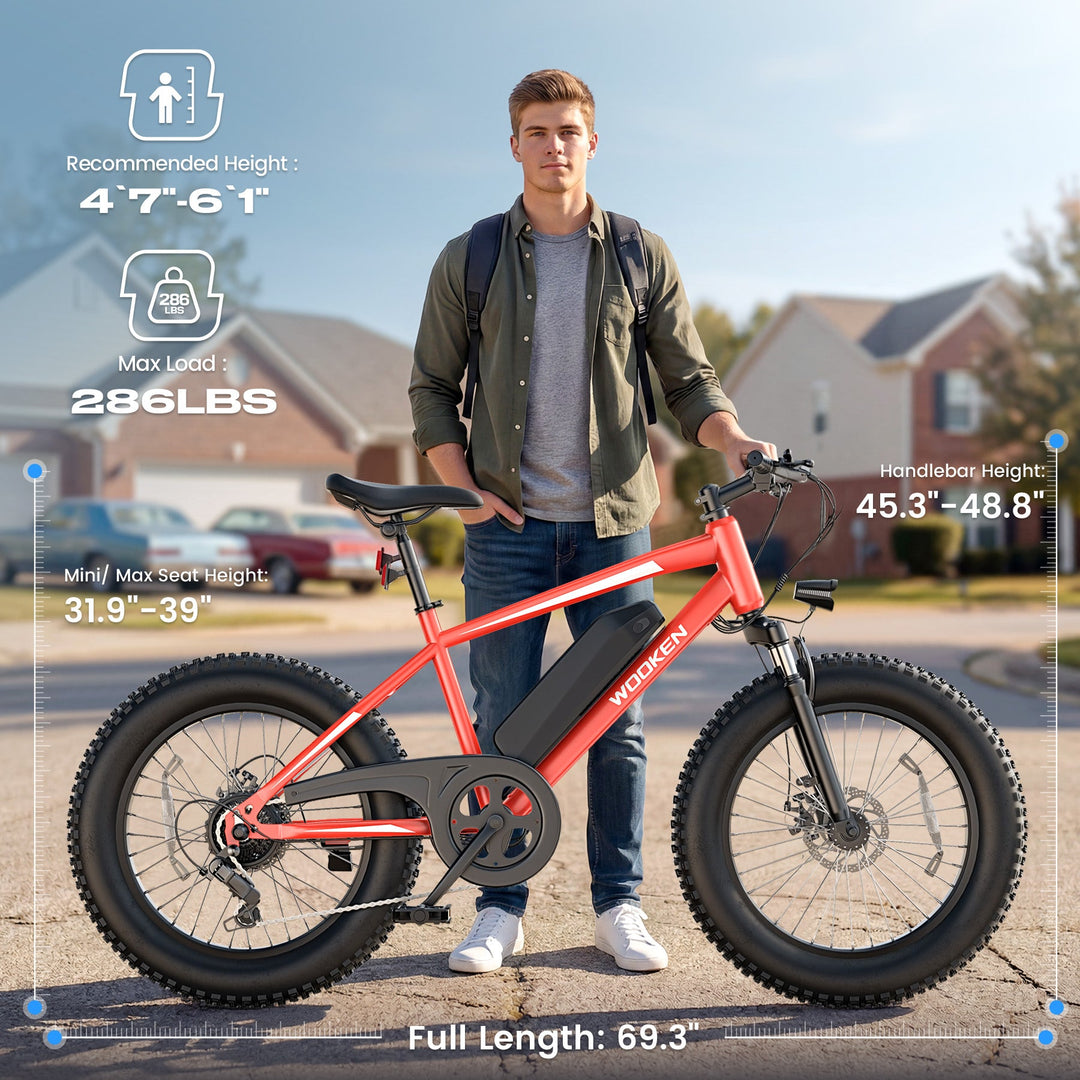 Wooken TAIWK11 All Terrain Fat Tire Electric Bike Wooken