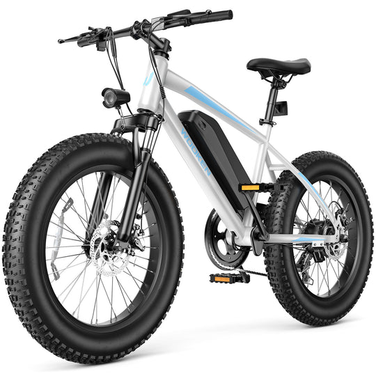 Wooken TAIWK11 All Terrain Fat Tire Electric Bike Wooken