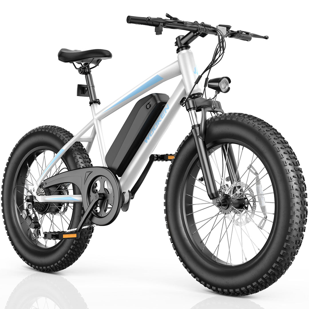 Wooken TAIWK11 All Terrain Fat Tire Electric Bike Wooken