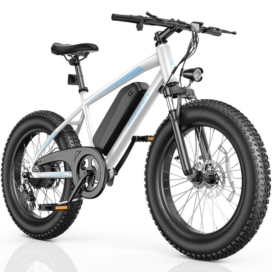 Wooken TAIWK11 All Terrain Fat Tire Electric Bike Wooken