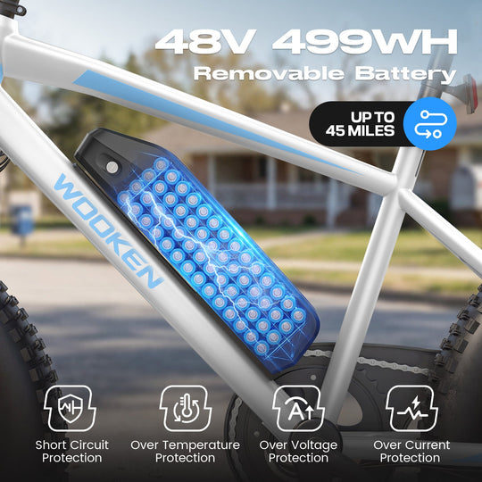 Wooken TAIWK11 All Terrain Fat Tire Electric Bike Wooken