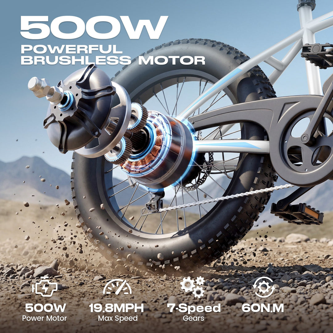 Wooken TAIWK11 All Terrain Fat Tire Electric Bike Wooken