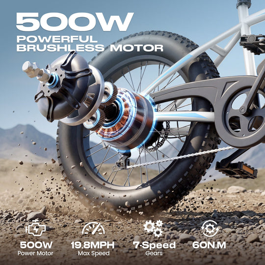 Wooken TAIWK11 All Terrain Fat Tire Electric Bike Wooken