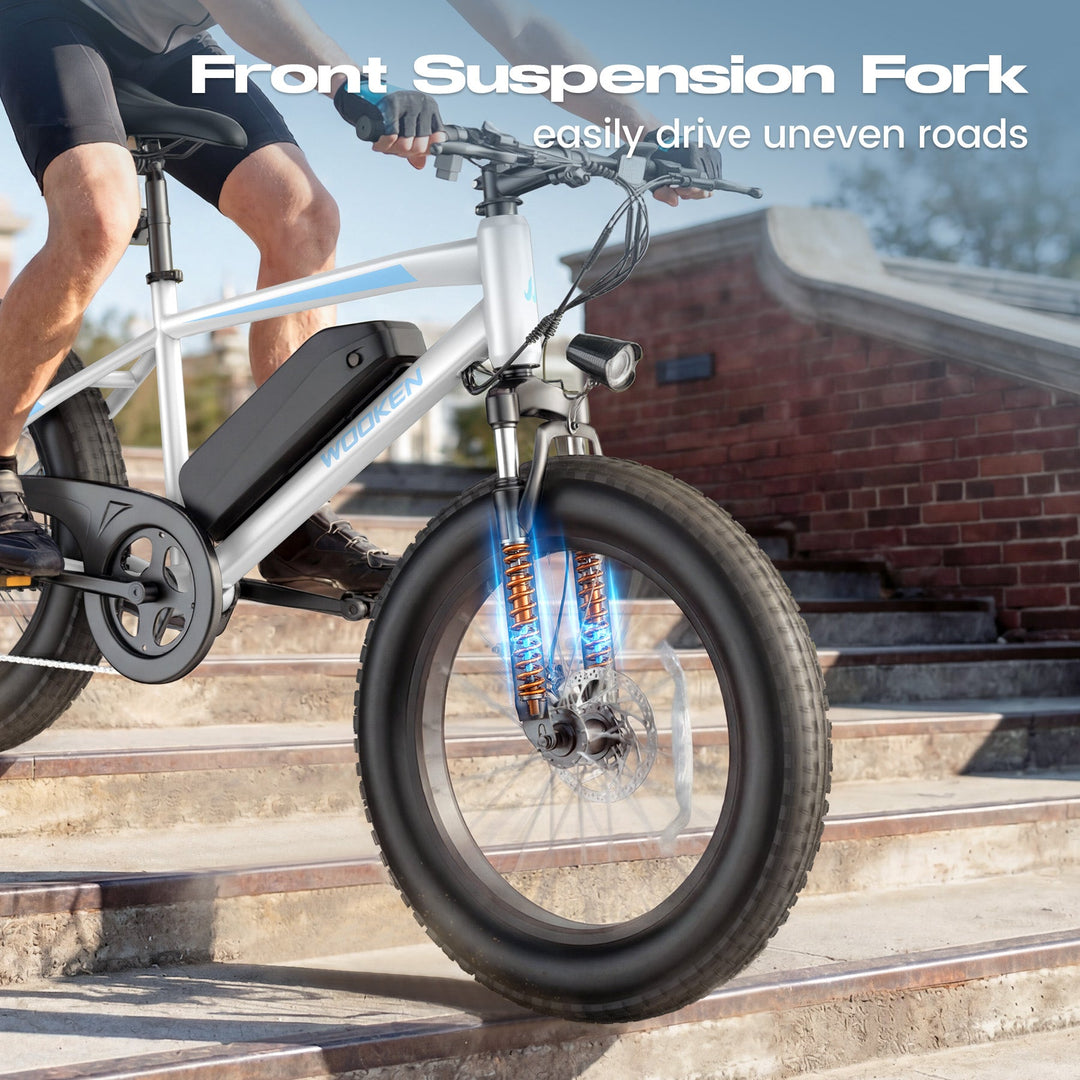 Wooken TAIWK11 All Terrain Fat Tire Electric Bike Wooken