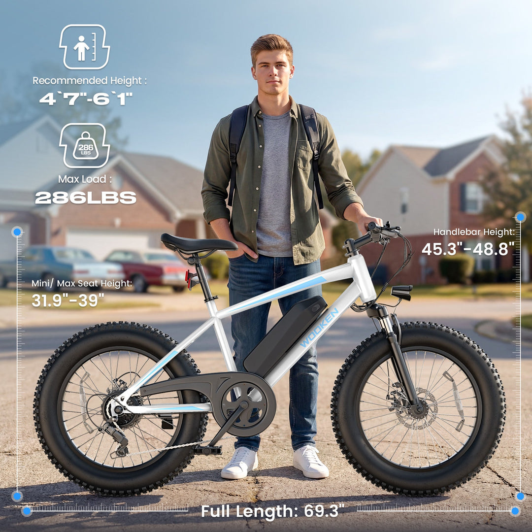 Wooken TAIWK11 All Terrain Fat Tire Electric Bike Wooken