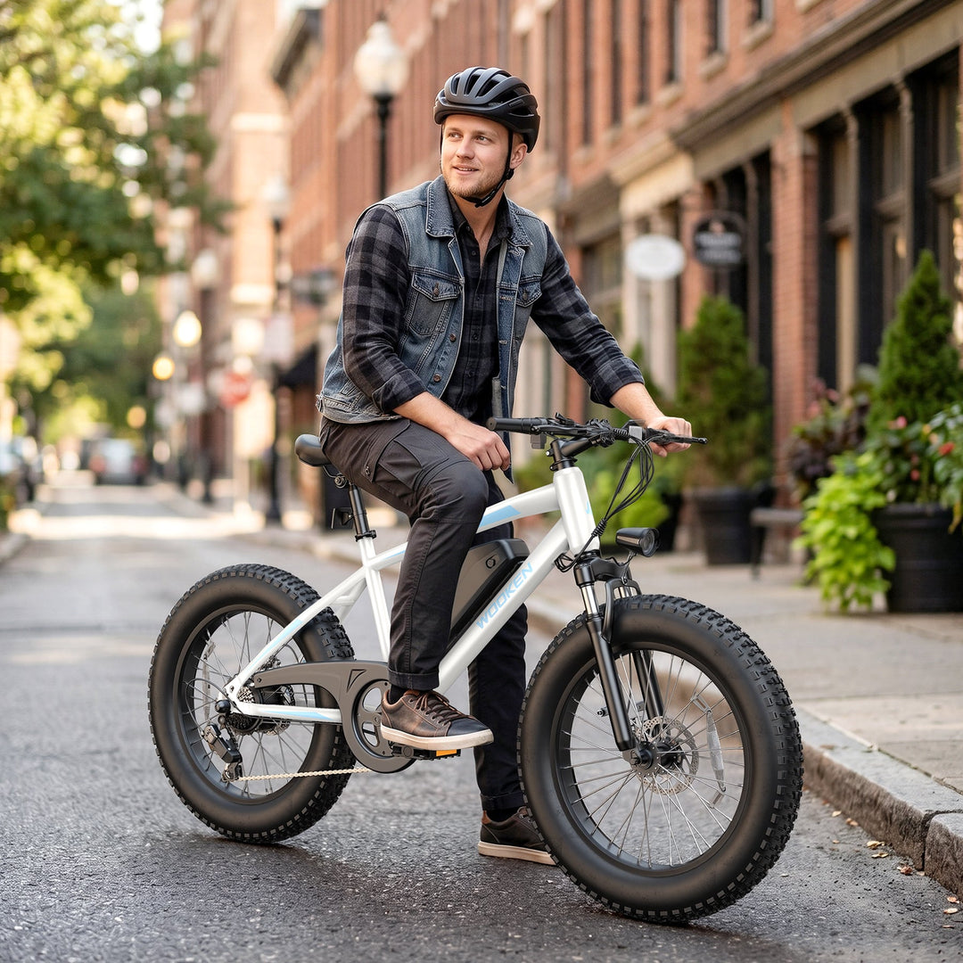 Wooken TAIWK11 All Terrain Fat Tire Electric Bike Wooken